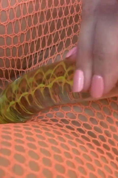Babe in fishnet outfit rips pantyhose and puts a dildo in her shaved cunt