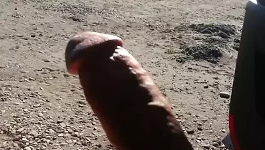 Un dia morboso