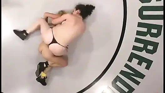 Die spinnen gegen kat