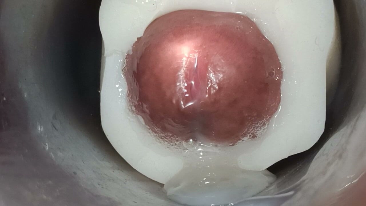 Internal view: vulva twitching and ejaculating 3