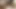 Anal Homemade Sex Couple