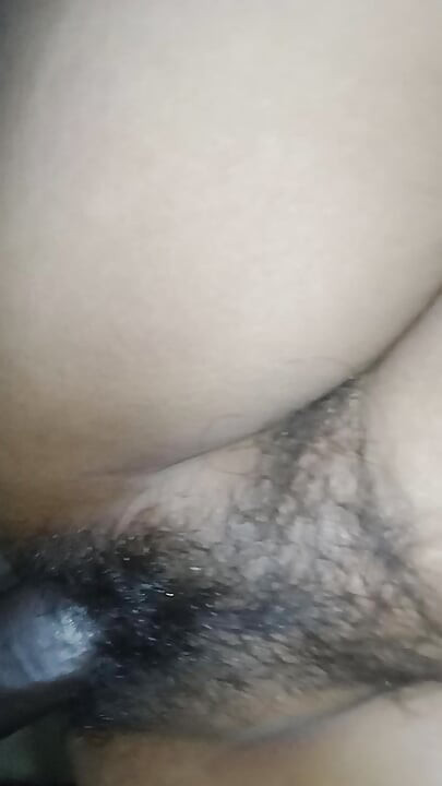 Rasili chut