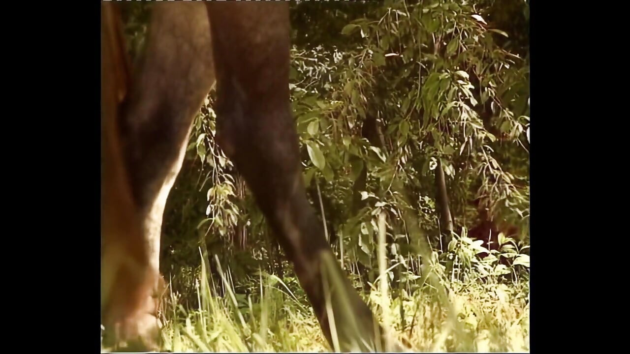 نساء فلاحات عاهرات يتناكن في الريف