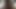 hung asian stud (15'')