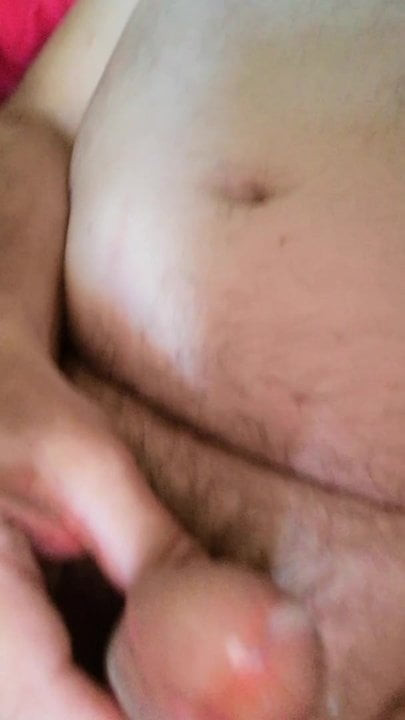 Bear Cock cum