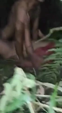 Sexo no mato