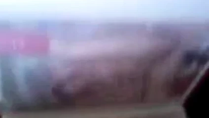 gojosfasz neked3