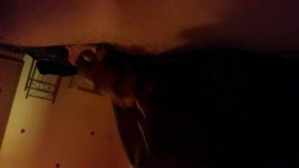 Vid 2