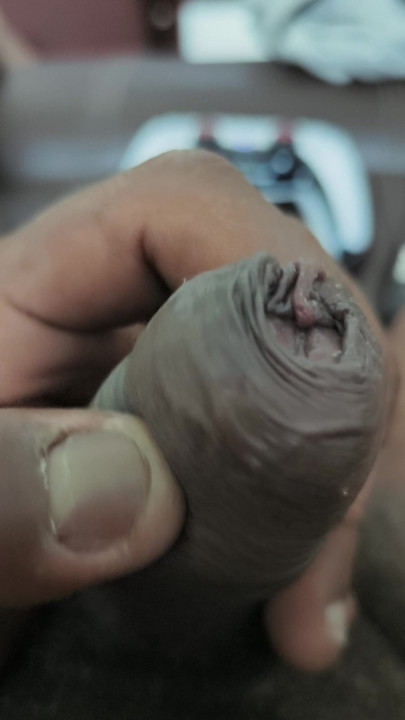 Kontol yang belum disunat untukmu