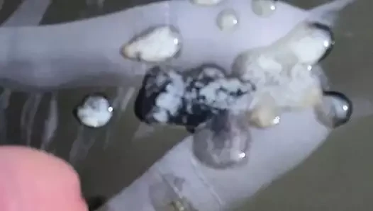 Misseskey için sperm depozitosu