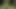 Ich und meine geile schnecke