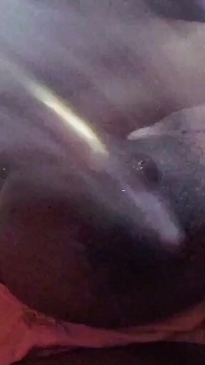 Indian husband dominated his sexy wife | Clip 1