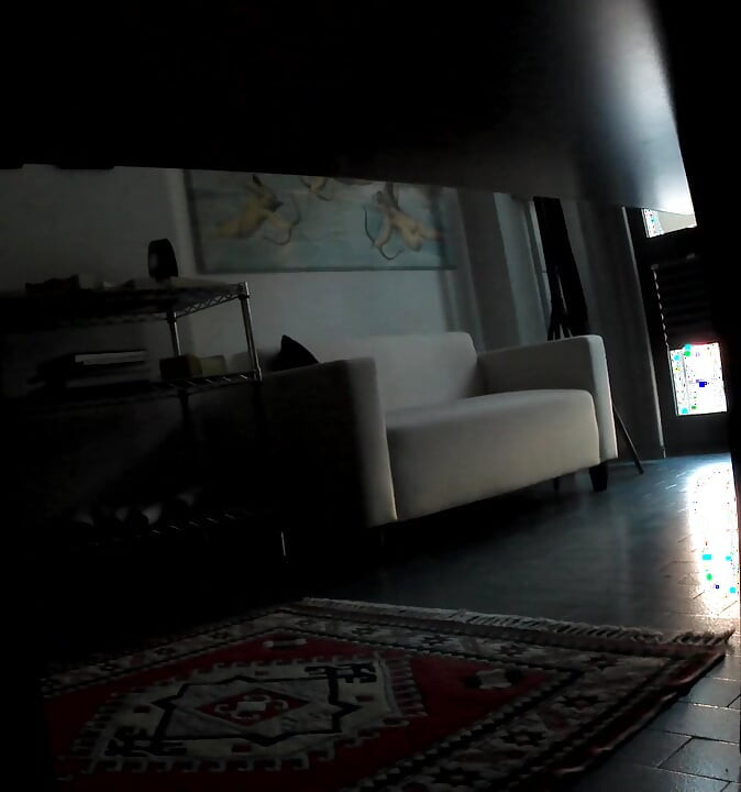 FUCKED IN THE OFFICE ON MY LOVESEAT WITH FAKE CLIENT