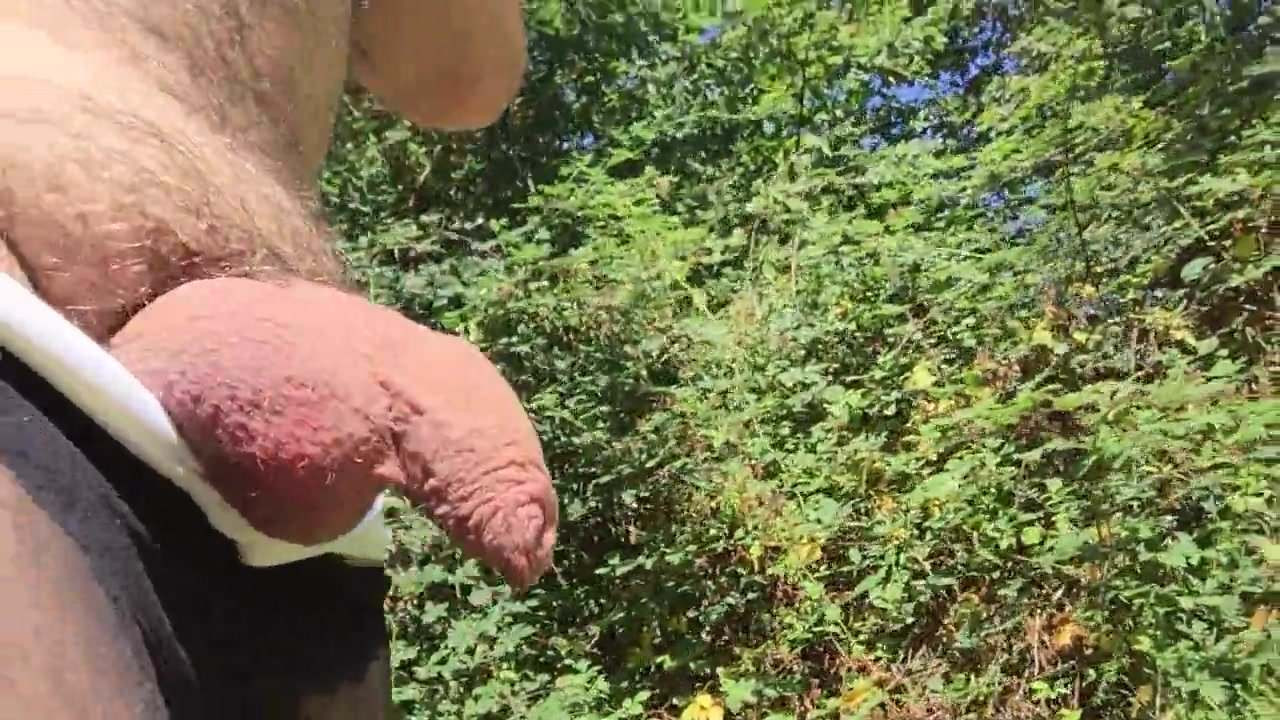 这个夏天