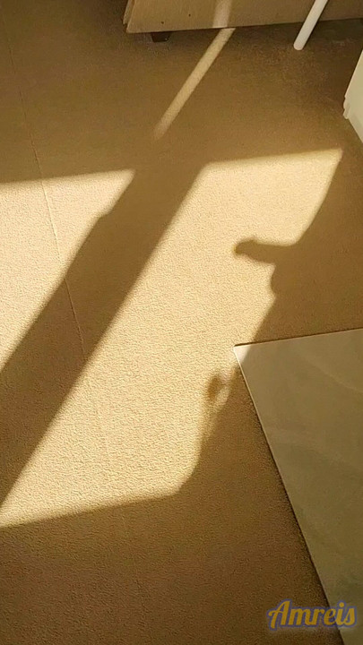 Hello sunny day!