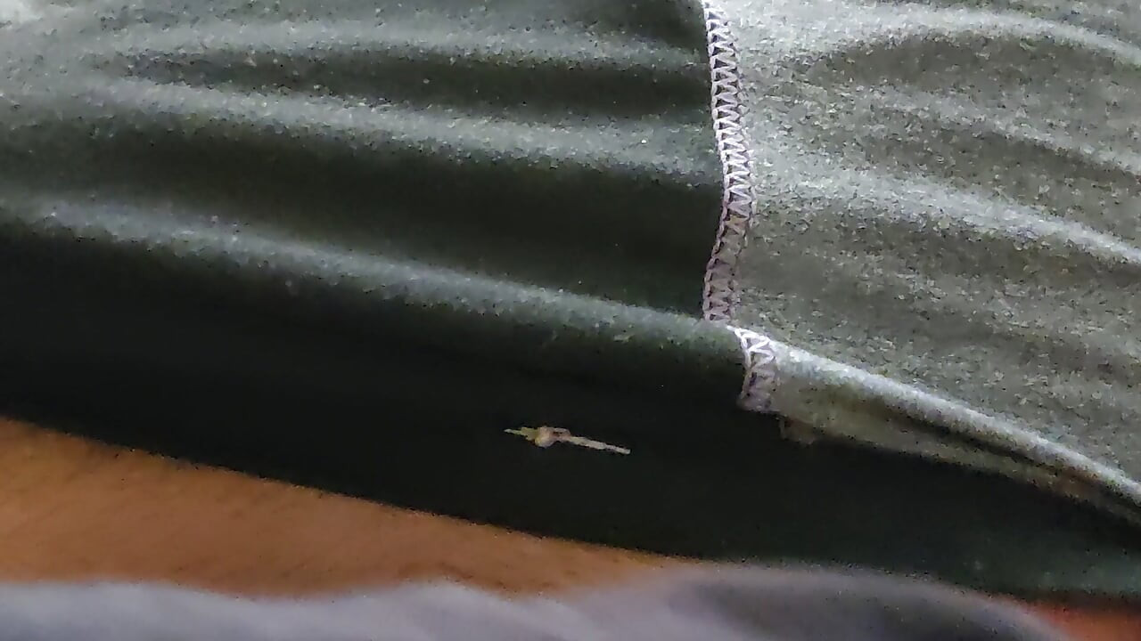 New vedio waiting is over check my dick