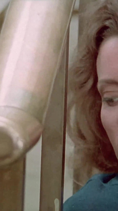 A Tribute to Annette Haven