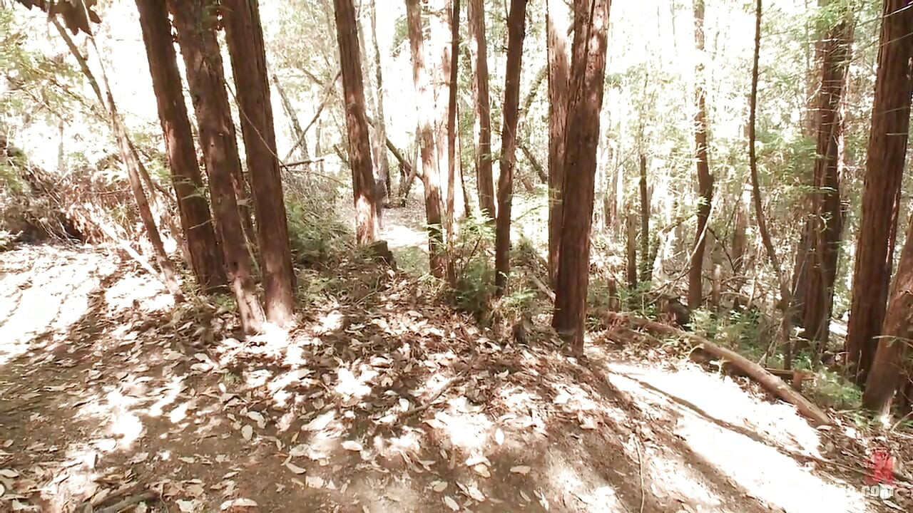 Captured Straight Jock Gets His Tight Ass in the Deep Woods