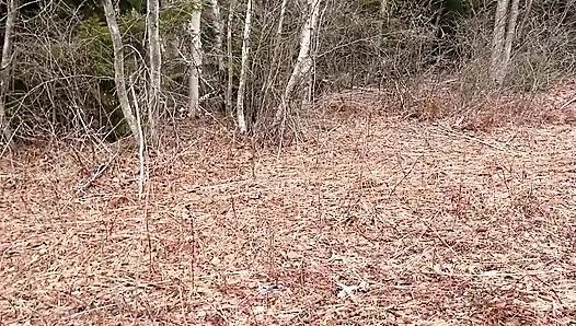 Ormanda Çok Havalı Işiyor