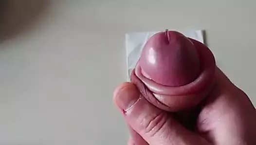 pompalama 2