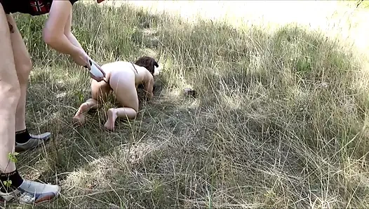 Dapatkan enema di taman