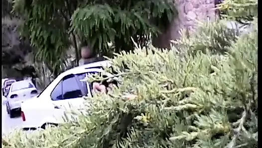 Sevimli esmer kadın sert sikilmeden önce dövmeli adamın yüzüne oturmayı seviyor