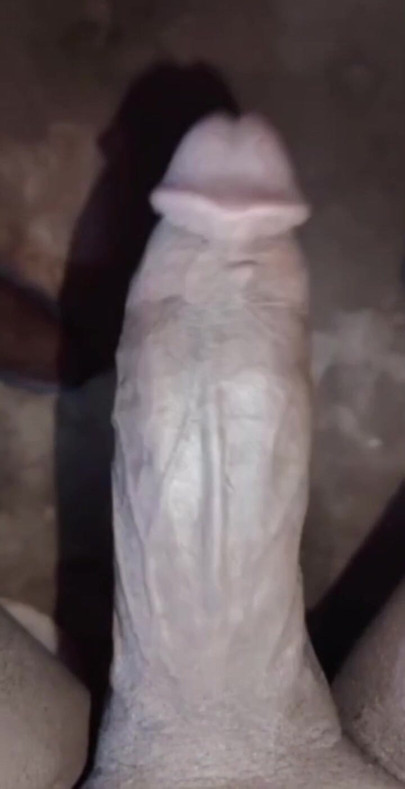Sudanes cock | Clip 1