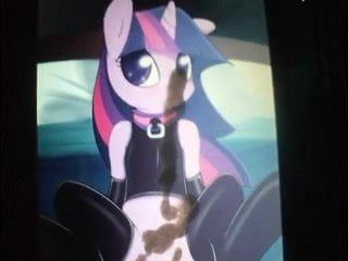 SoP - My Little Pony : Stupid Sexy Twilight !