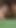 Powerful moment from "asian teen takes rough back shots gets cum inside"