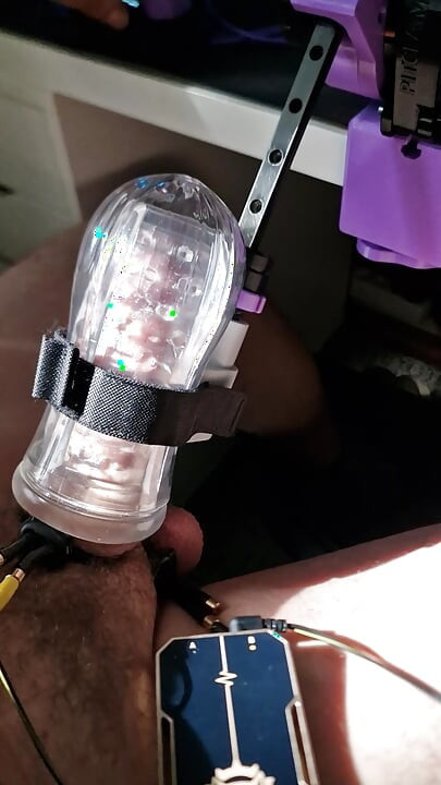Milked and E-Stimmed