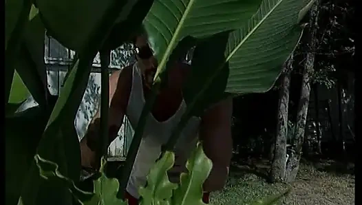 Hengst fickt haarige muschi und arsch von brünetter mit riesigen melonen Und dann kommt auf sie Sie