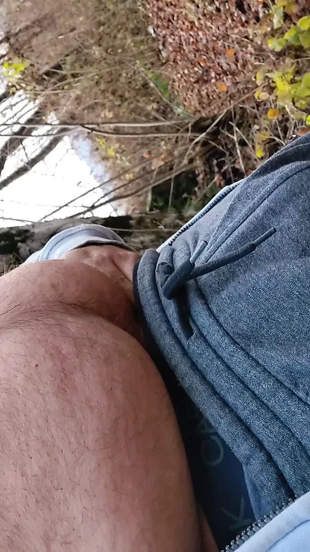 Hairy bear shows off his body and cock in the woods, outdoor