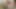 あなたのひよこが決して持っていないおっぱいとお尻