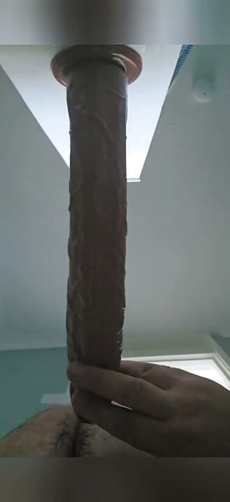 Dildo gemuk baru ukuran 13 inci