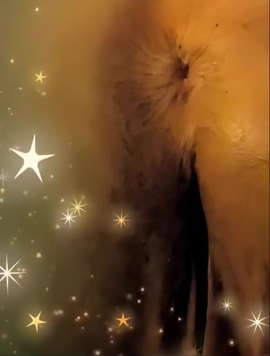 펠라를 선사하는 18세 소녀