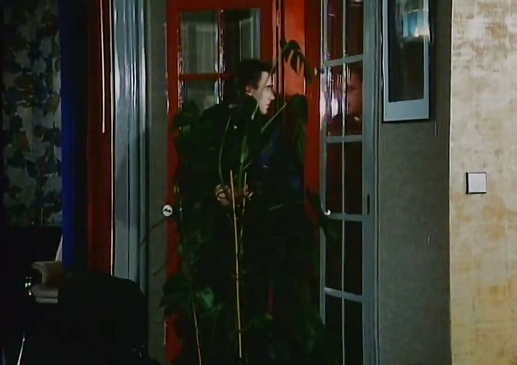 Stéphanie Recto-verso (1978) Aka French Love