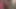 Zenci orta yaşlı seksi kadın amatör oyuncu seçmelerinde anal porno fantezisini gerçekleştiriyor