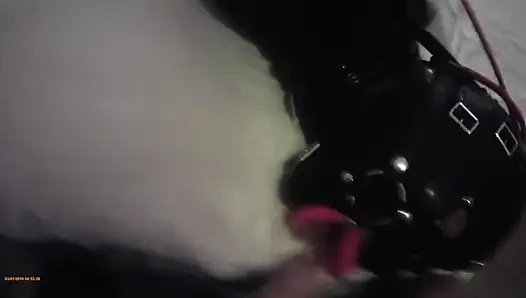 Laura hogtied and hooded with a lip open mouth gag has her throat fucked for 15 minutes