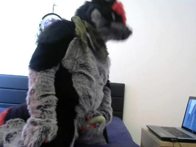 murrsuit pawing
