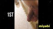 Pregled videozapisa