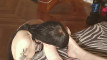Pratinjau video