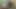 Big Black Hairy Dick Worship Hallelujah Johnson (Cock Nation)