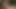 beaux jeunes mecs dans les bois