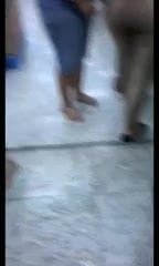 Safadinha