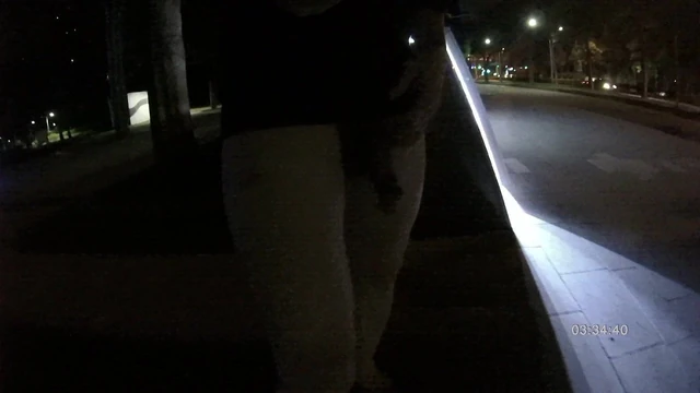 public 22 night walk