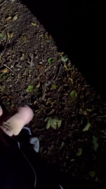 Peeing in the public park at night is also fun