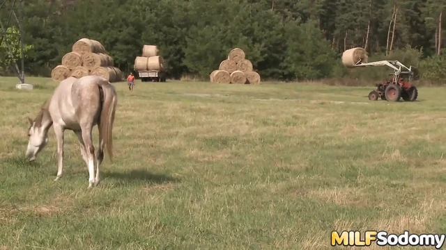 MILF In A Field