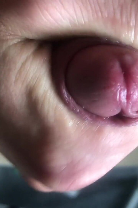 Spermaxl