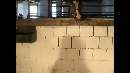 Doppelte penetration auf dem Bauernhof mit abspritzen im mund für zwei geile schlampen