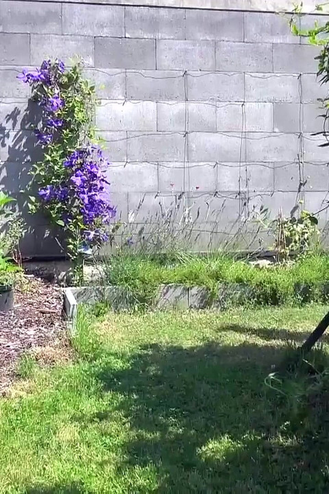 Perfect girl with great holes pisses off and gets fucked!